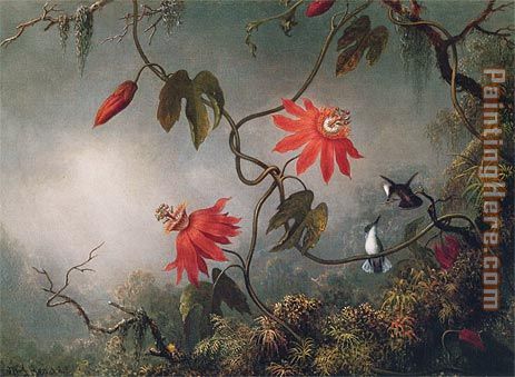 Passion Flowers and Hummingbirds painting - Martin Johnson Heade Passion Flowers and Hummingbirds art painting